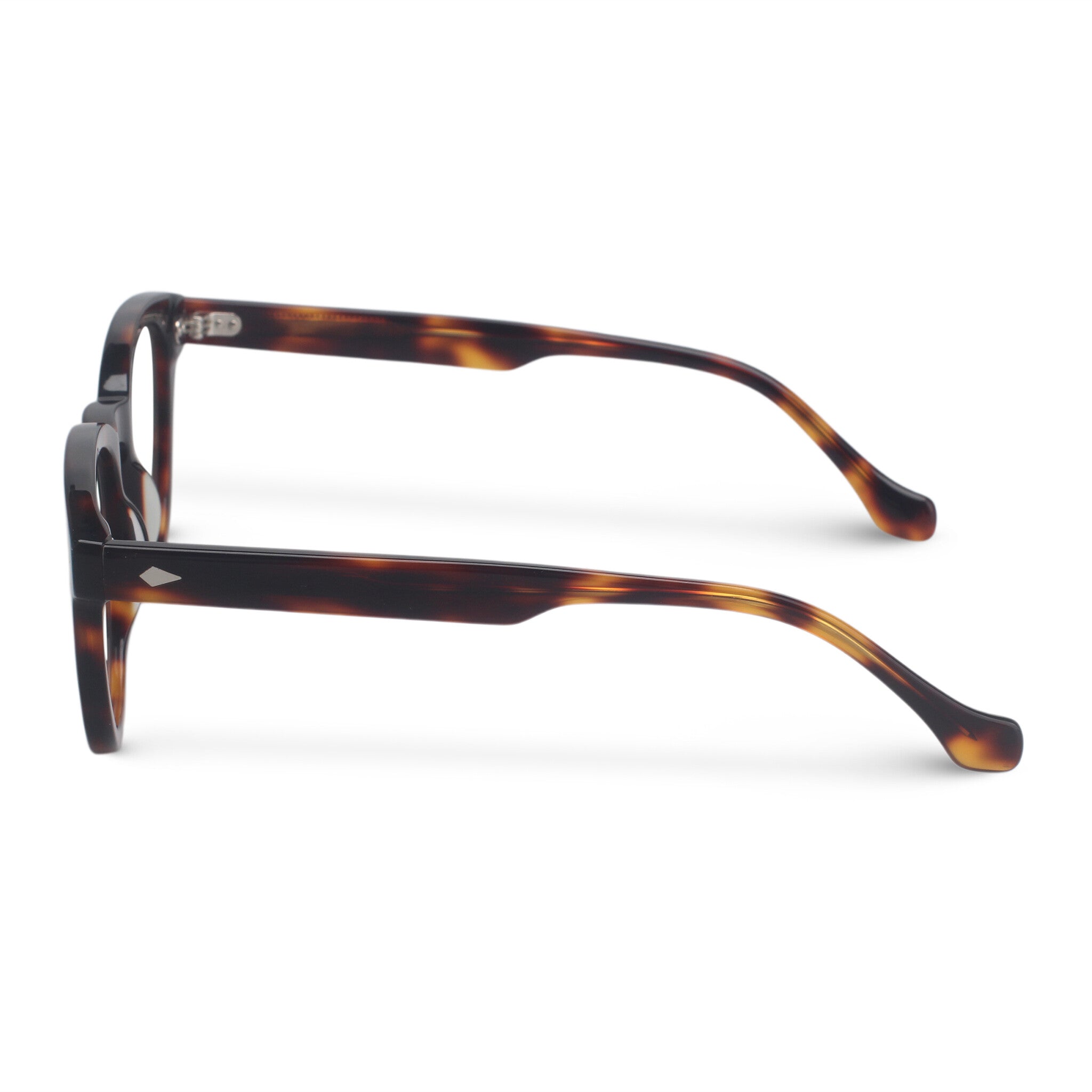 Tortoiseshell round plastic eyeglasses